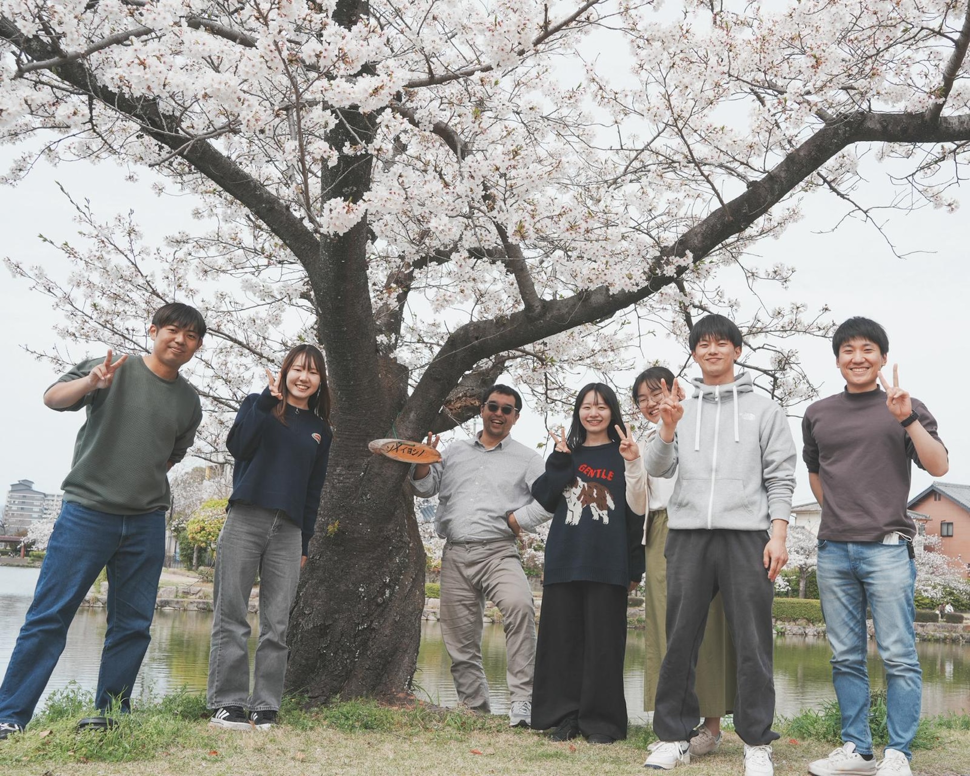 2026年恒例のお花見