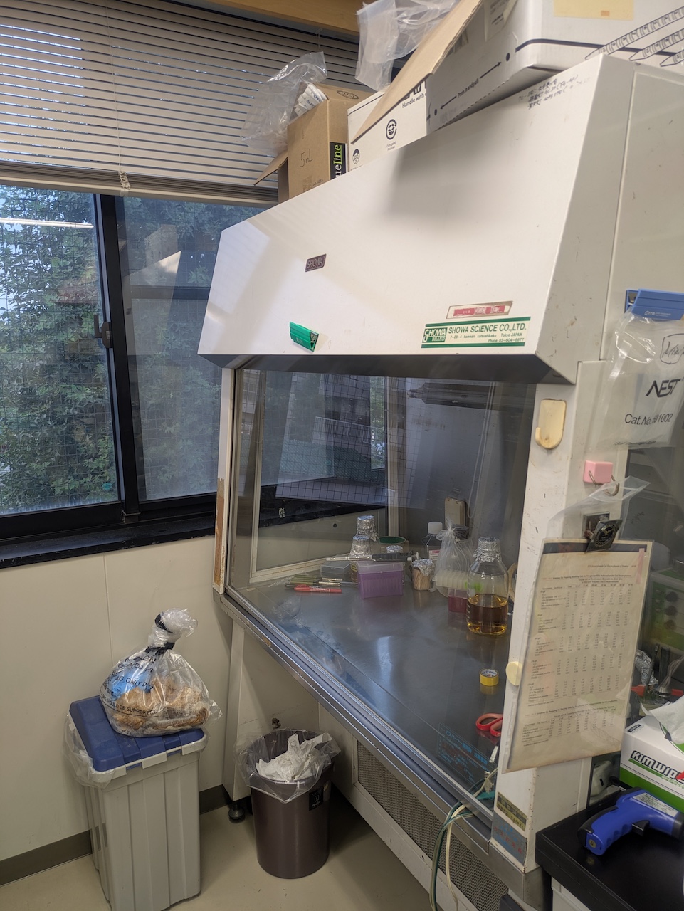 Clean Bench for E.coli